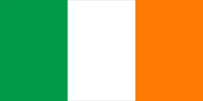 ROI flag