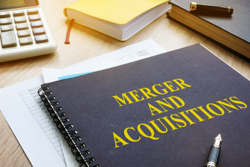 Book titled MERGER AND ACQUISITIONS