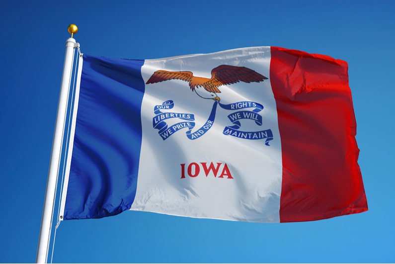 Iowa state flag