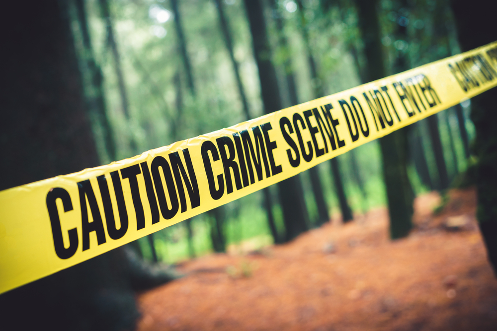 yellow crime scene tape in woods